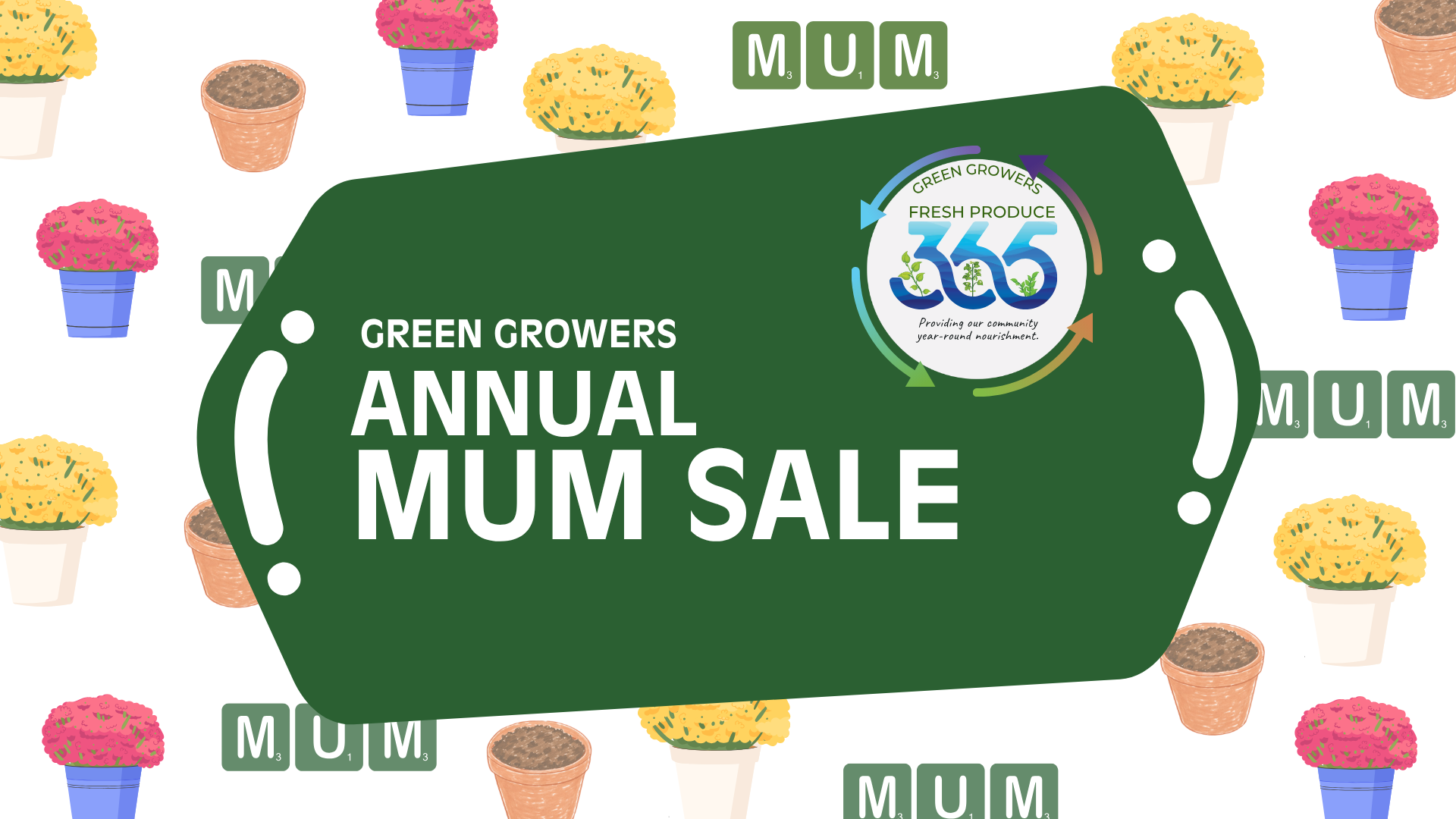 Featured image for Green Growers: Mum Sale